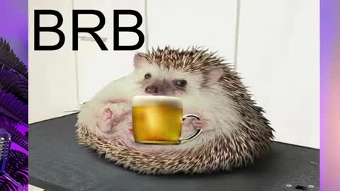 AshleyAshe  online show from February 16, 11:26 pm