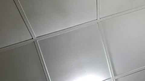 assetr69aldy online show from November 12, 10:50 am