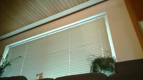 Snapshot of asusandy chatting on February 28, 1:14 pm asusandy online show from February 28, 1:14 pm