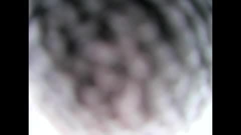 aussie64 online show from March 8, 4:56 am