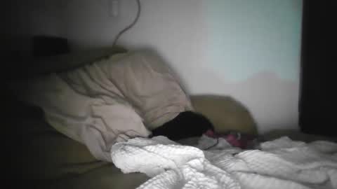 ayr129 online show from October 8, 5:02 am