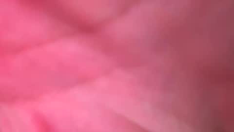 babyboii42o online show from November 23, 6:50 pm