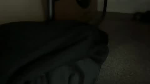 bcin online show from April 30, 2:44 pm