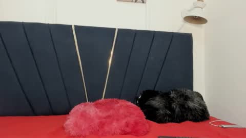 Snapshot of badboycum_230 chatting on October 21, 12:27 am badboycum_230 online show from October 21, 12:27 am