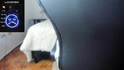 IM BAILEY online show from February 17, 5:47 am