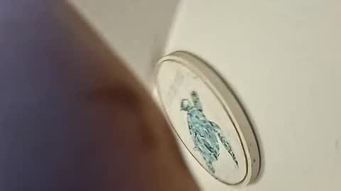 bainescpl2024 online show from April 8, 12:19 pm