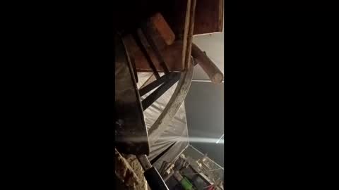 ballshanginglowaf online show from February 16, 2:04 pm