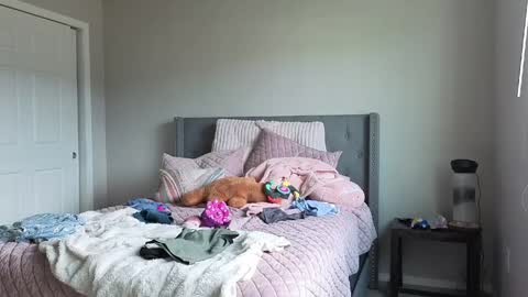 bambifarrina online show from April 21, 2:24 pm