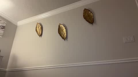 chicka online show from April 6, 4:21 am