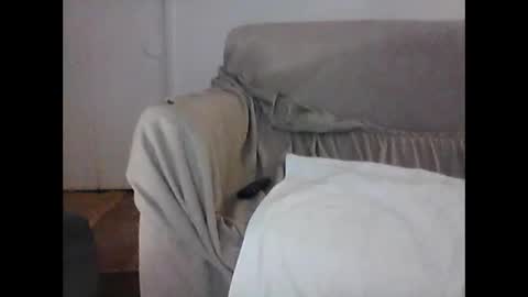 barrysand online show from February 6, 7:45 am