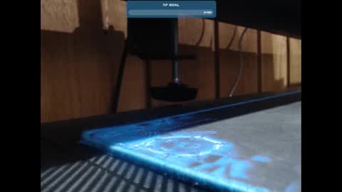 Ricky online show from January 17, 2:28 pm