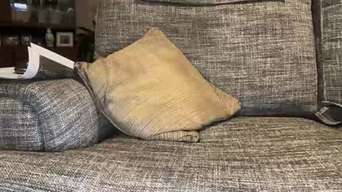 Snapshot of baykiwi54 chatting on October 19, 7:46 am baykiwi54 online show from October 19, 7:46 am