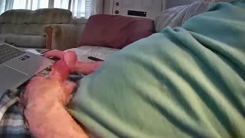 bcema2 online show from April 14, 4:43 pm