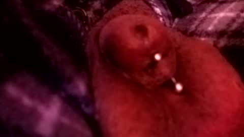 bcfalcon69 online show from March 5, 3:04 am