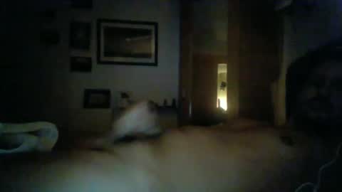 Snapshot of bearboudior chatting on February 16, 1:58 am bearboudior online show from February 16, 1:58 am