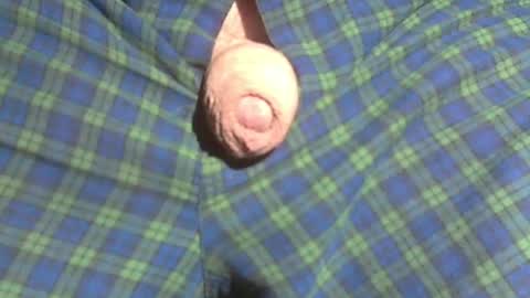  Reservoir Dogs online show from March 1, 1:10 am