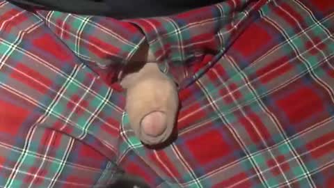  Reservoir Dogs online show from October 21, 10:09 am