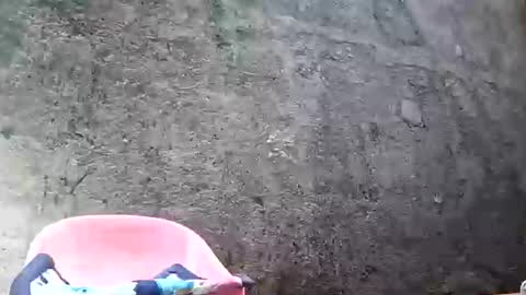 Tezza online show from February 28, 8:53 am