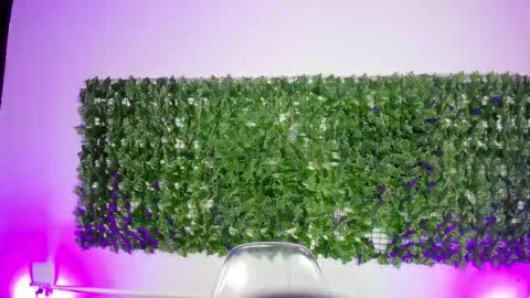 BellaRoux online show from February 20, 12:07 pm