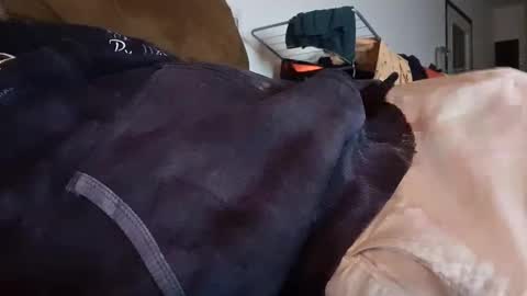 berry9970078 online show from March 8, 11:20 pm