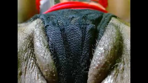 Bethany Wilson online show from November 15, 6:09 pm