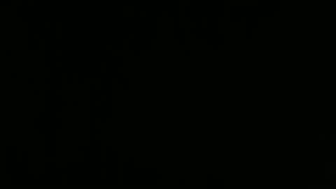 samant online show from November 15, 10:17 am