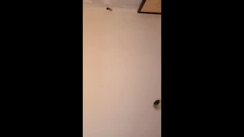 bgiamba21 online show from April 4, 6:31 am