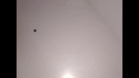 bigd23994 online show from November 2, 9:42 am