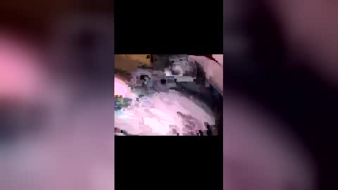 Pac Man Sex online show from April 2, 8:27 pm