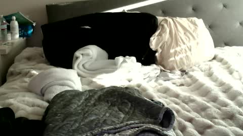 bigdickjoey1995 online show from January 10, 11:29 pm