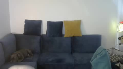 Gavin online show from December 19, 5:08 pm