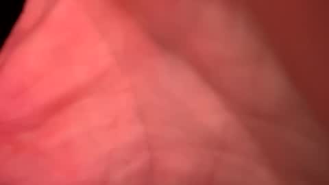 bigjoey502 online show from April 13, 5:33 am