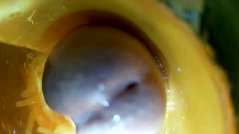 bigmoneycorey online show from March 14, 7:29 pm