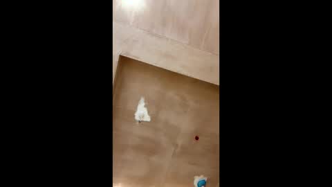 bigpoppa69999 online show from January 16, 2:30 pm