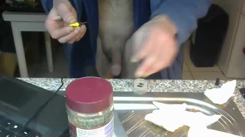 ...... online show from January 22, 2:37 am