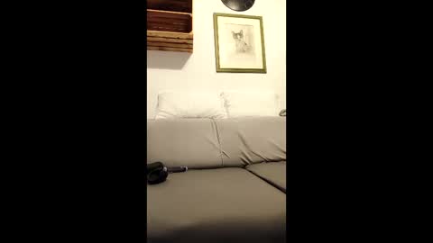 ...... online show from December 16, 6:47 pm