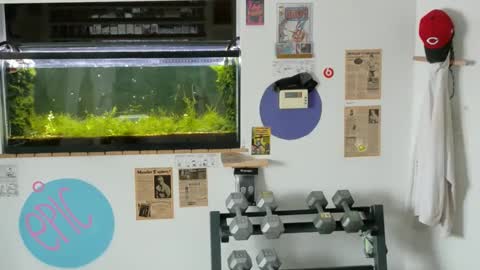 Jarvis online show from February 14, 3:26 pm