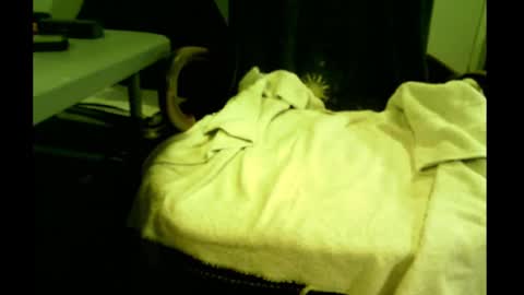 bimale4hotphuk online show from February 21, 7:45 am