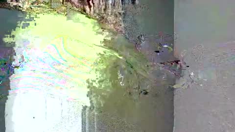 Snapshot of bimbogiga chatting on September 12, 6:32 pm bimbogiga online show from September 12, 6:32 pm