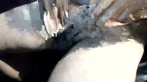 bjlonely7 online show from March 29, 4:47 am