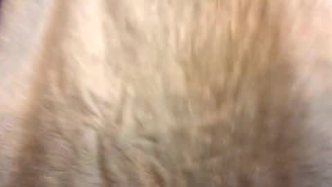 blkmamba63 online show from December 16, 1:39 pm