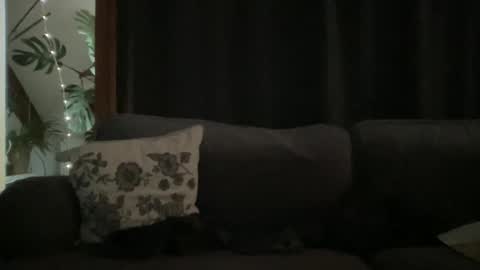 BlIdoL online show from December 18, 9:04 am