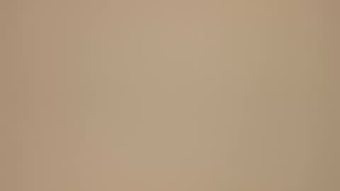 Blondie gin online show from February 21, 3:54 pm