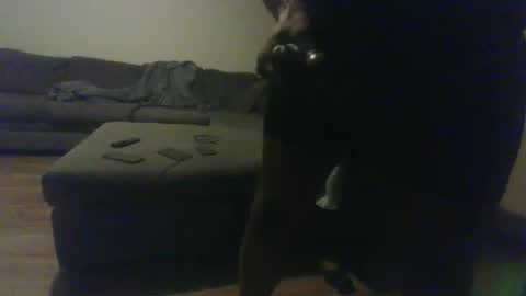 blongd2 online show from January 19, 12:42 am