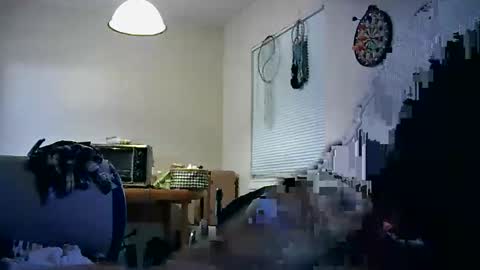 Assdrtyasuwant online show from November 24, 9:52 am