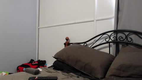 bob online show from February 7, 11:34 pm