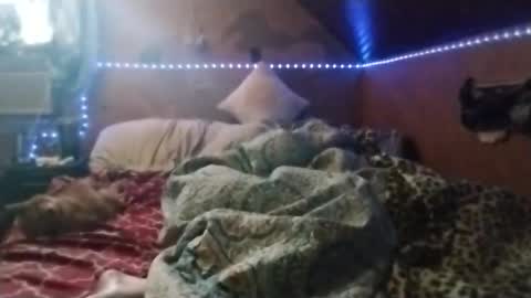 bobdeezzzzz online show from March 19, 5:18 pm