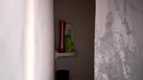 bobfish663 online show from January 31, 11:02 pm