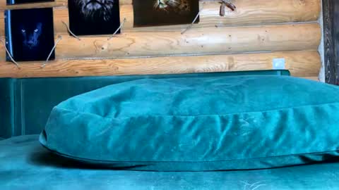 Nail and Olivia online show from January 6, 11:14 am