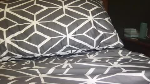 boldlust online show from December 11, 2:52 am